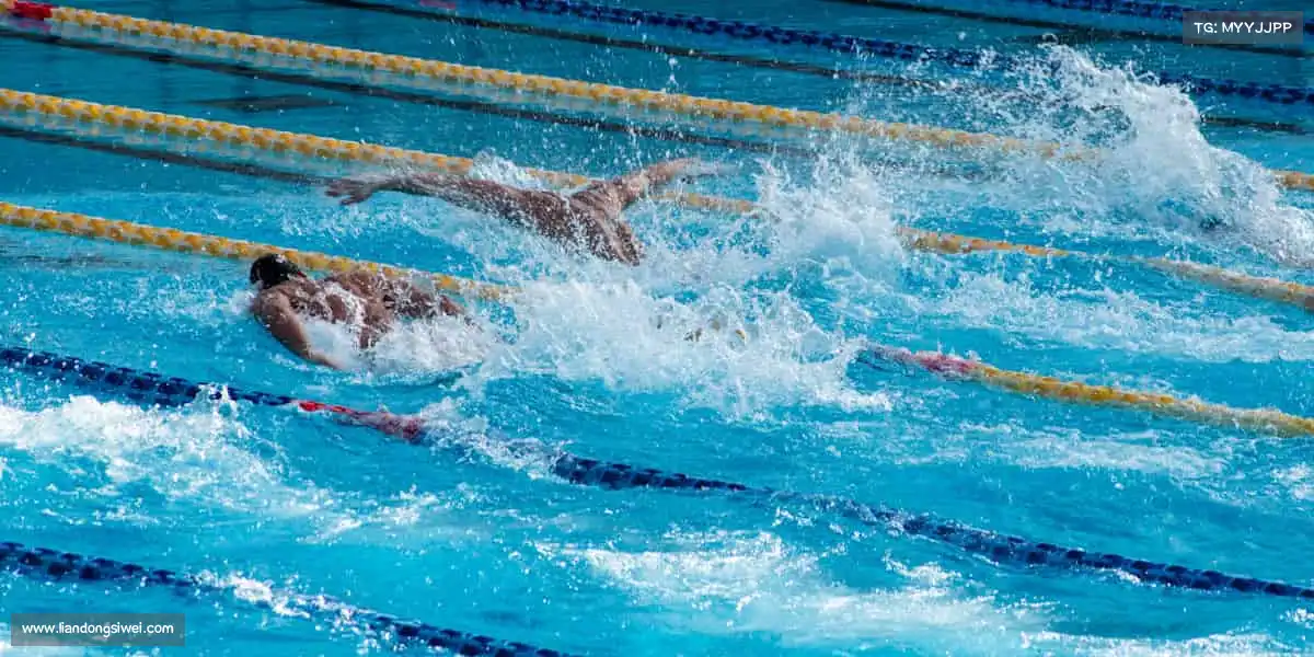 j9国际版——潜水冒险，探秘深蓝🌊